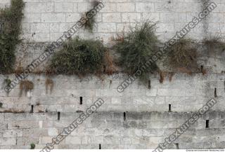 wall stones overgrown 0003